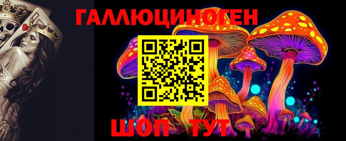 Галлюциногенные грибы Psilocybine cubensis Кстово